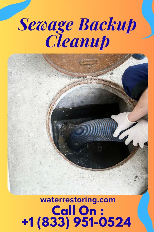 Sewage Backup Cleanup in Belle Rive, IL
